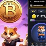 Hamster Kombat Reveals What’s Next in July