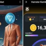 What Is Hamster Kombat Coin Price Today? Updated 2024