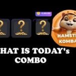 Hamster Kombat Daily Combos Today – July 26, 2024