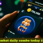 ​​Hamster Kombat Daily Combo Cards for July 17: Answers to Earn 5M Hamster Coins Today